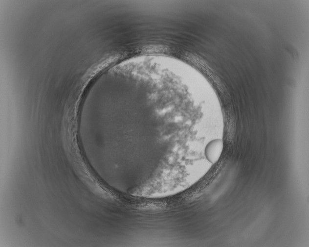 X0000112530721200909281038