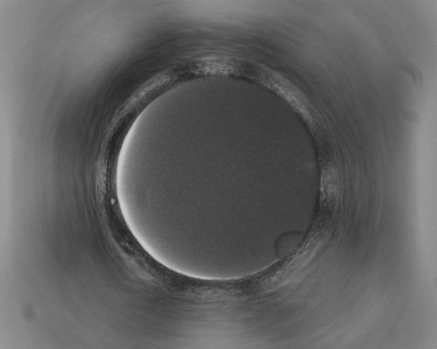 X0000112530722200909281038