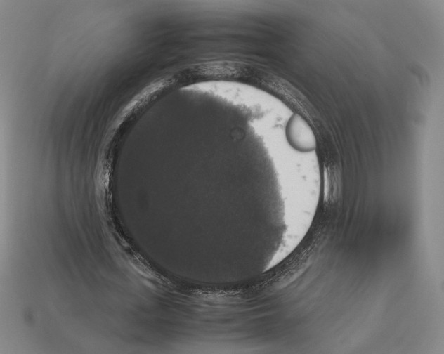 X0000112530723200909281038