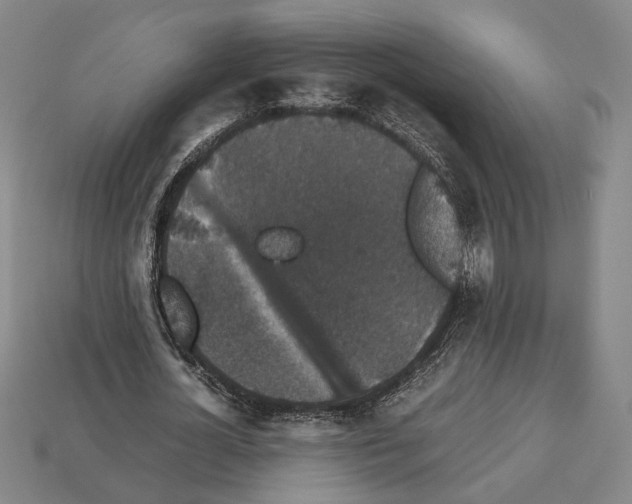 X0000112530724200909281038