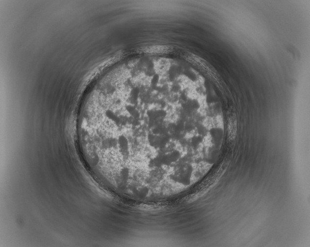 X0000112530725200909281038