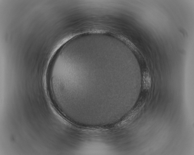 X0000112530726200909281038