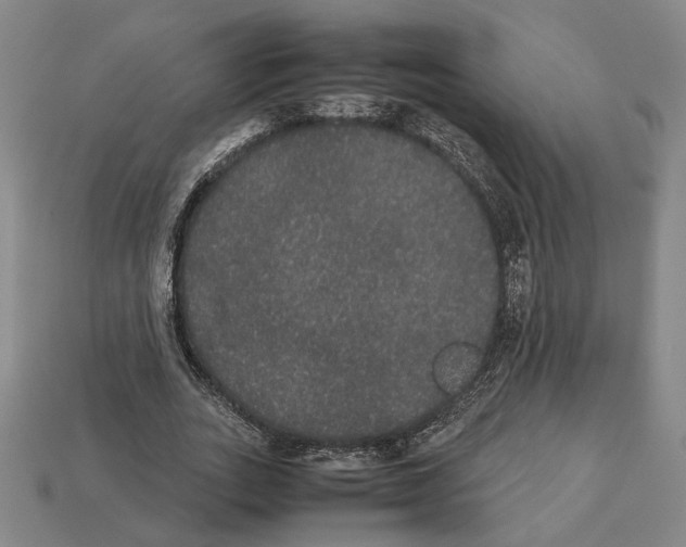 X0000112530727200909281038