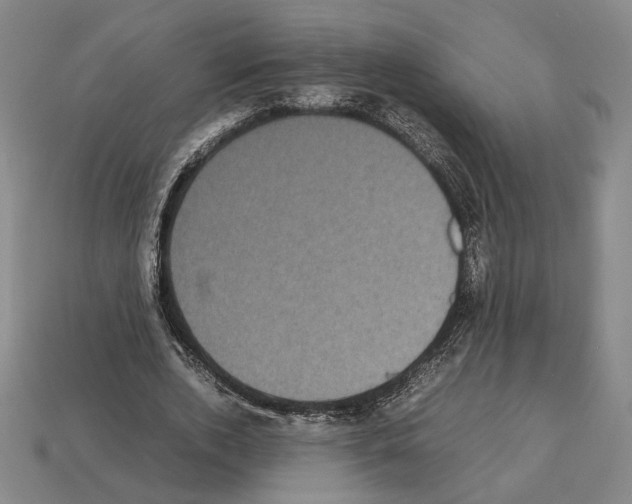 X0000112530728200909281038