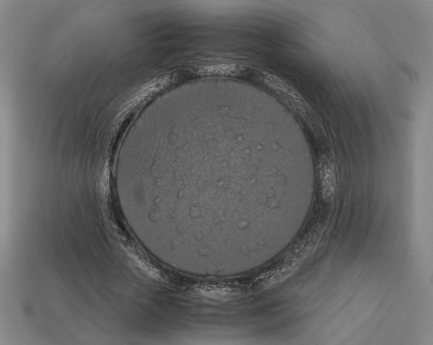 X0000112530729200909281038