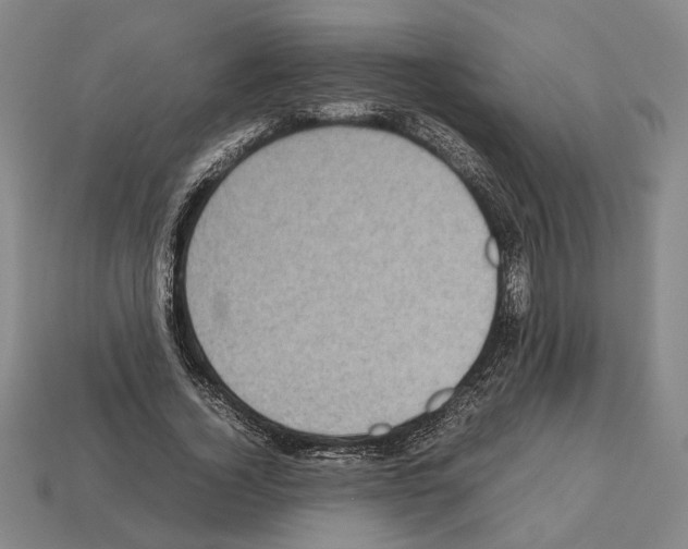 X0000112530732200909281038