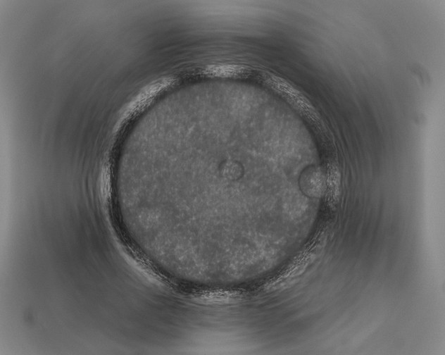 X0000112530734200909281038