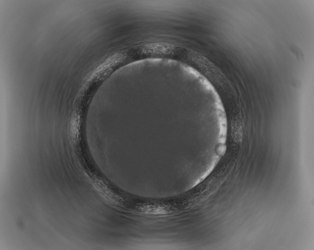 X0000112530735200909281038