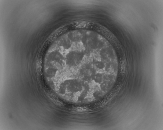 X0000112530737200909281038