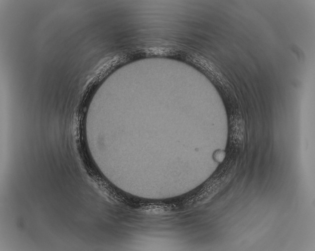 X0000112530738200909281038