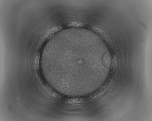 X0000112530739200909281038