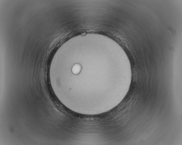 X0000112530740200909281038