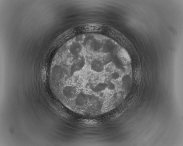 X0000112530741200909281038