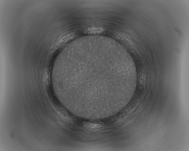 X0000112530743200909281038