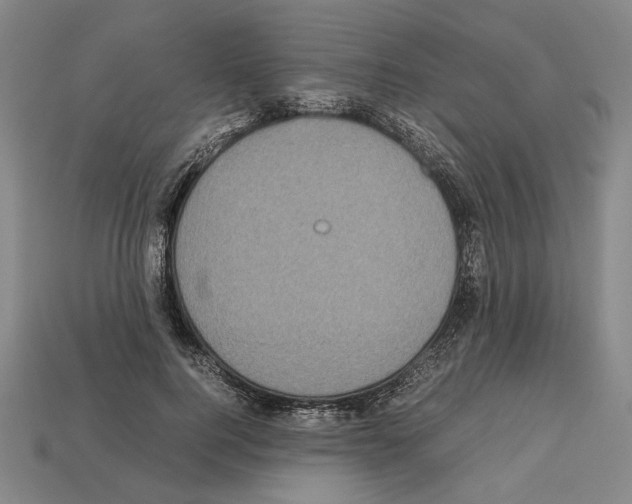 X0000112530744200909281038