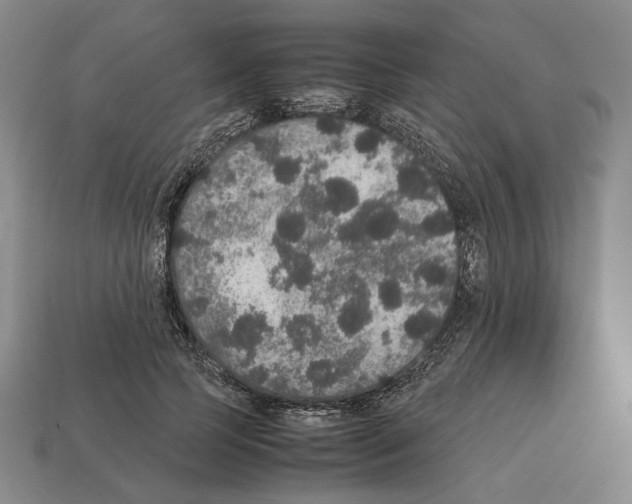 X0000112530745200909281038