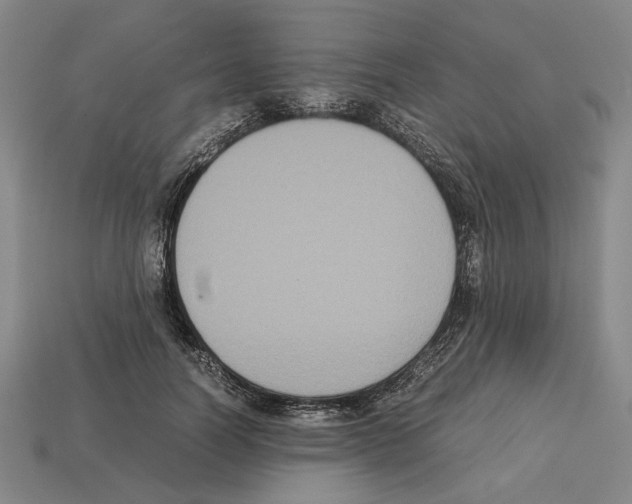 X0000112530746200909281038