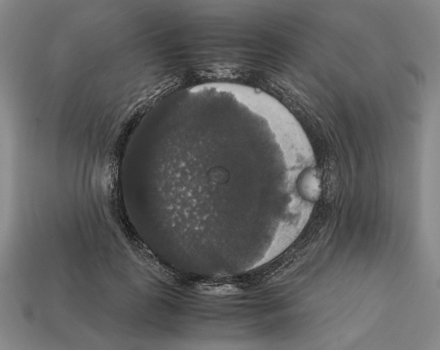 X0000112530747200909281038