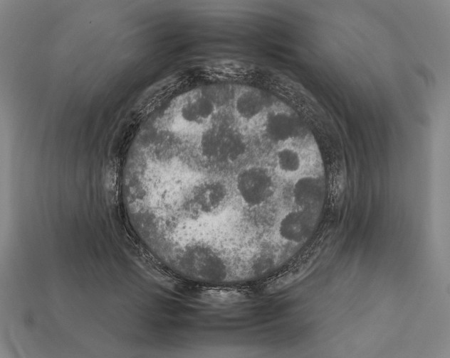 X0000112530749200909281038