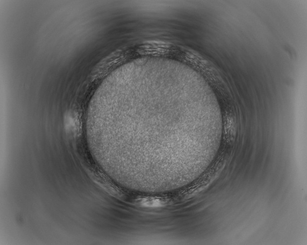 X0000112530751200909281038