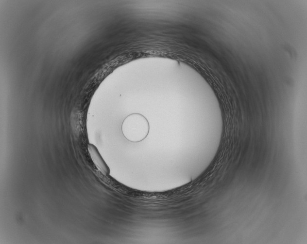 X0000112530752200909281038