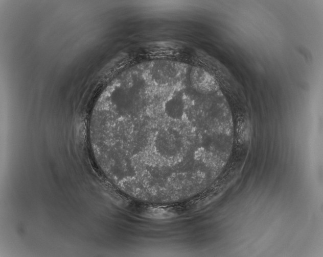 X0000112530753200909281038