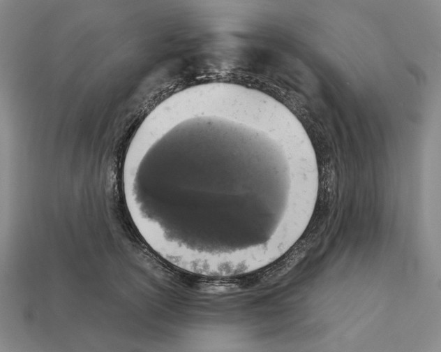 X0000112530754200909281038