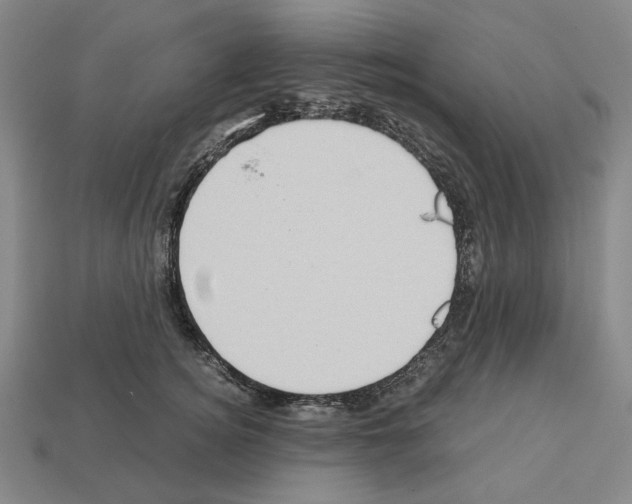 X0000112530756200909281038