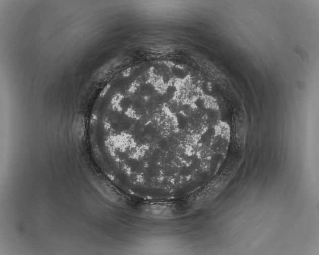 X0000112530758200909281038