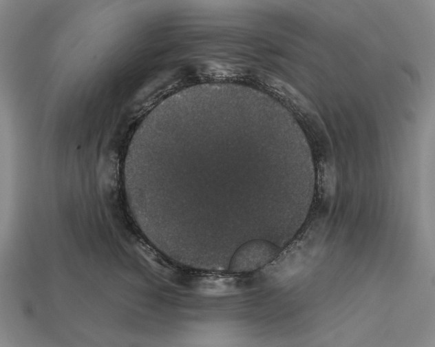 X0000112530760200909281038