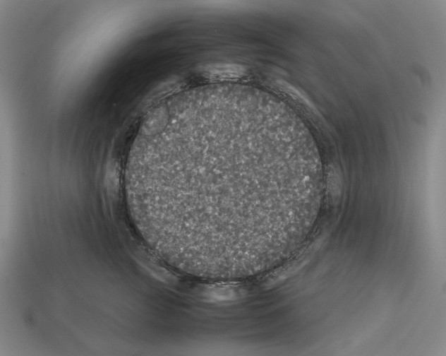 X0000112530761200909281038