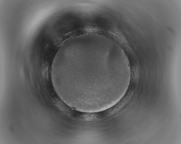 X0000112530762200909281038