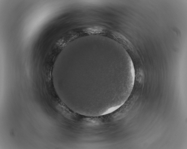 X0000112530763200909281038