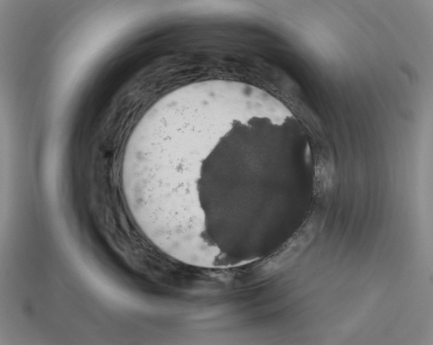 X0000112530765200909281038