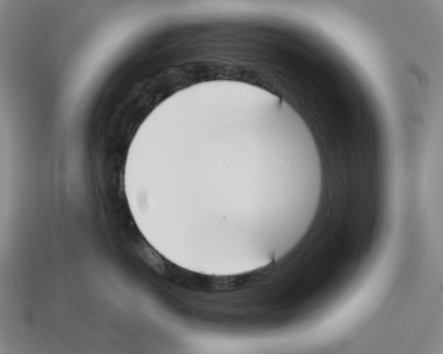 X0000112530766200909281038