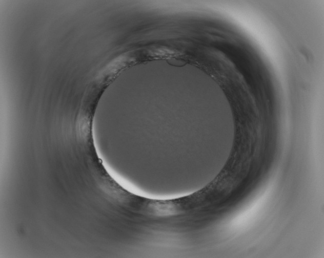 X0000112530767200909281038