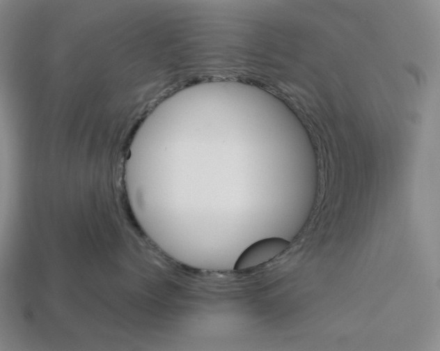 X0000112530768200909281038