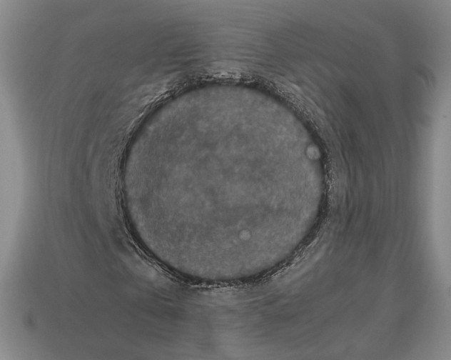 X0000112530769200909281038