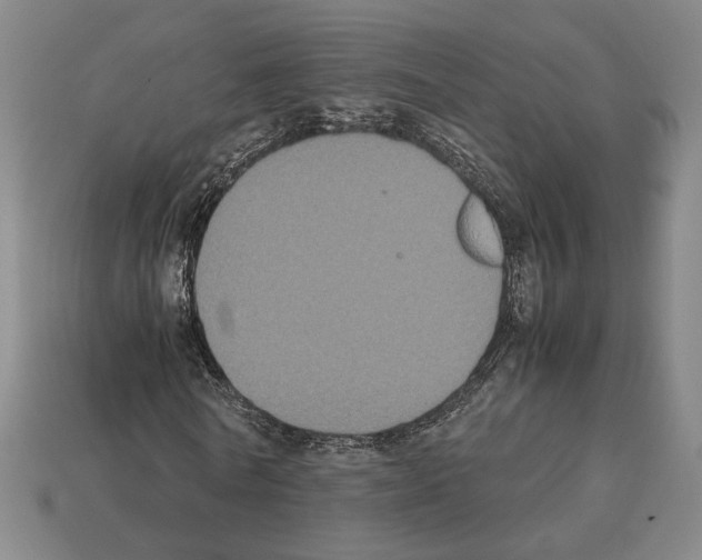 X0000112530770200909281038