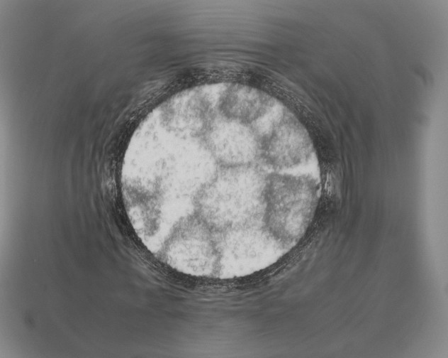 X0000112530771200909281038