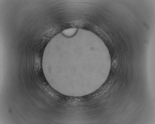 X0000112530772200909281038