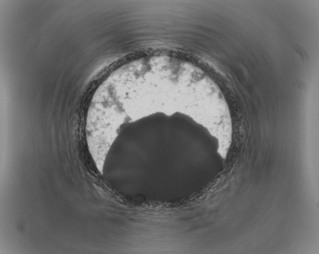 X0000112530775200909281038