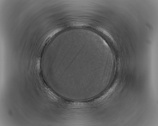 X0000112530777200909281038