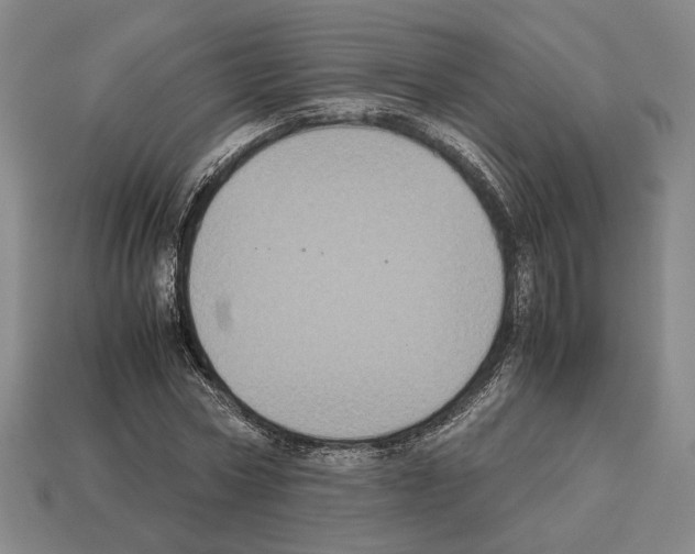 X0000112530778200909281038