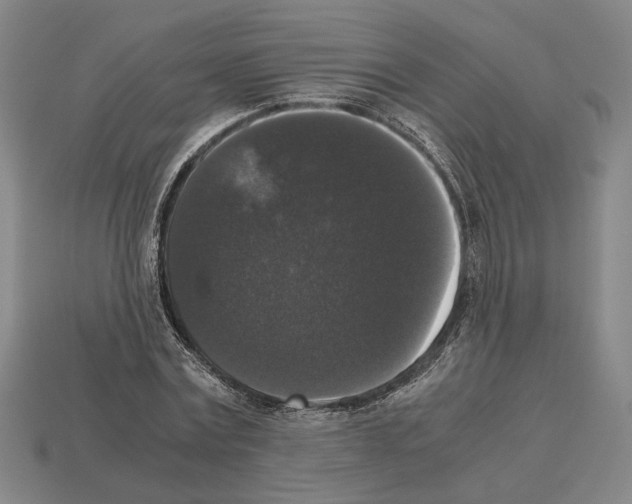 X0000112530779200909281037