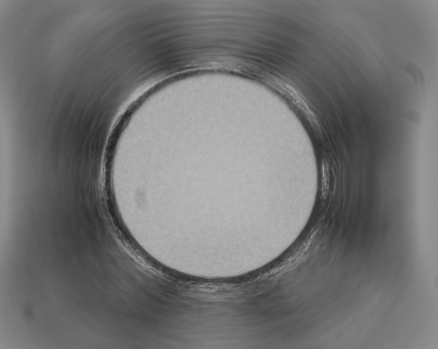 X0000112530780200909281037