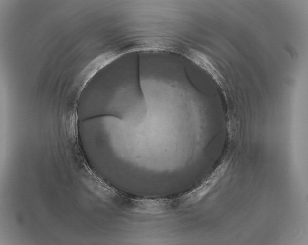 X0000112530781200909281037