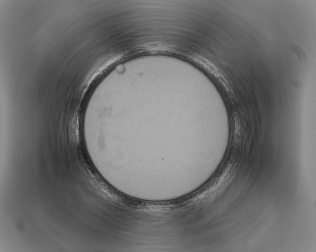 X0000112530782200909281037