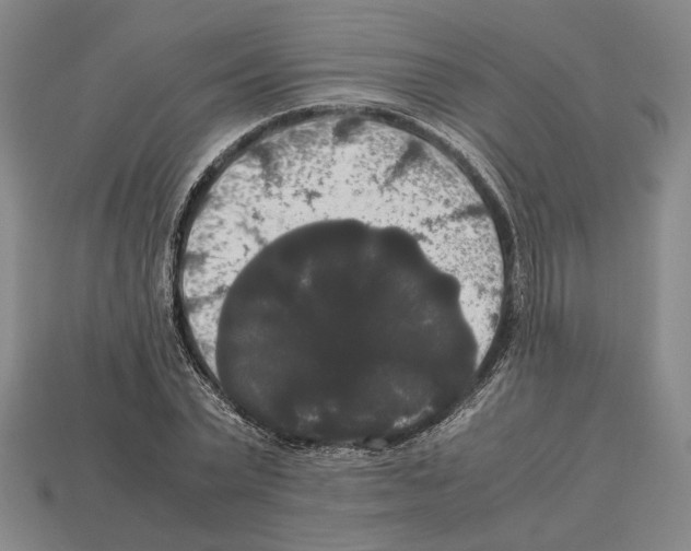 X0000112530783200909281037