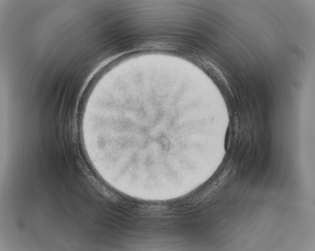 X0000112530784200909281037